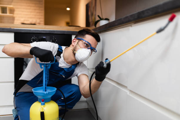 Best Wildlife Control Services  in Adelino, NM
