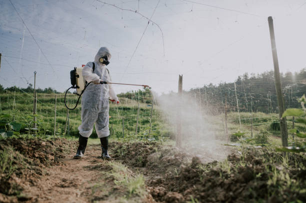 Best Pest Removal Services  in Adelino, NM