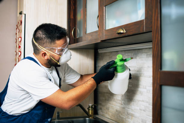 Best Bed Bug Extermination  in Adelino, NM