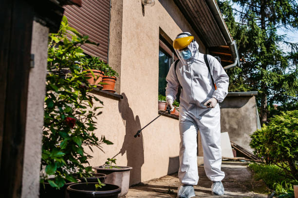 Best Pest Prevention Services  in Adelino, NM