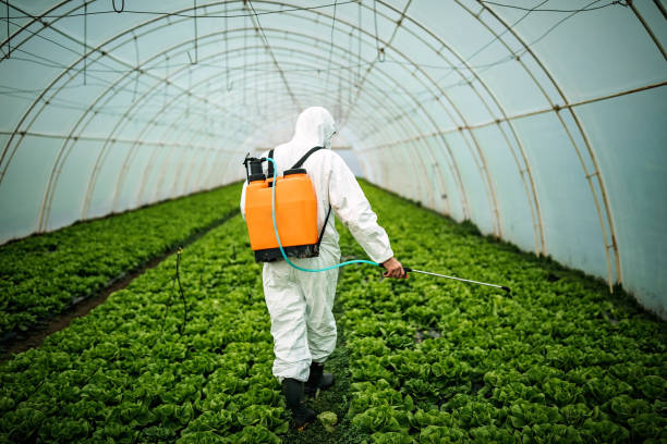 Best Emergency Pest Control  in Adelino, NM