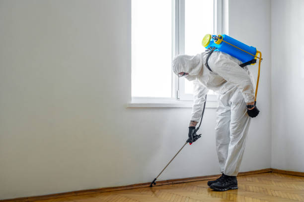 Best Mosquito Control Services  in Adelino, NM