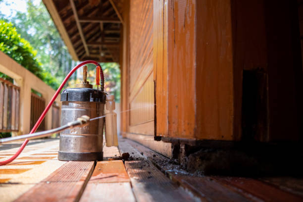 Best Affordable Pest Control Services  in Adelino, NM