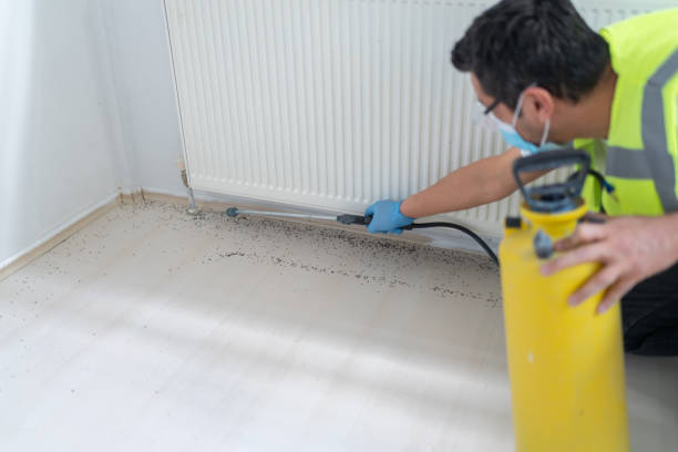 Best Best Pest Control Companies  in Adelino, NM
